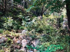 -大岭沟猕猴桃谷风景区