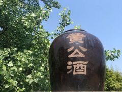 -杏花村文化旅游区