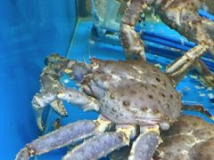-鲜味食族水产·海鲜餐厅
