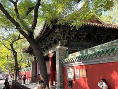-北京国子监胡同