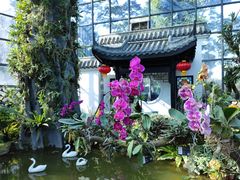 -东莞植物园