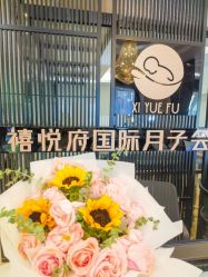 -禧悦府国际月子会所(总店)
