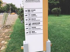 -唐城墙遗址公园