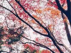 -南通博物苑-崇川人民公园