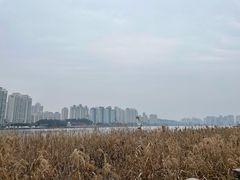 -江心屿景区