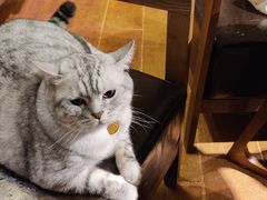 -H立方实景剧情密室(天河旗舰店)