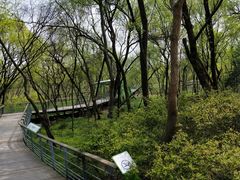 -西湖风景区-江洋畈生态公园