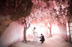 点击看大图 -韩慕婚纱摄影(九亭店)