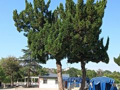 -泰山风景名胜区-虎山公园