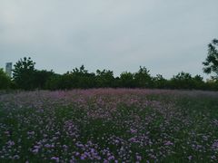 -厦门园林博览苑