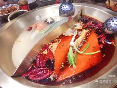 -小龙坎火锅(沙井店)