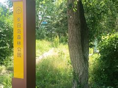 -长白岛森林公园