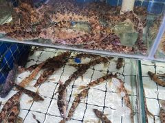 -大锅强·蒸海鲜青岛菜(吾悦广场店)