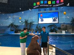 -泉城欧乐堡海洋极地世界