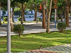-海南热带海洋学院(三亚校区)