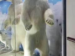 -郑州自然博物馆(惠济区)