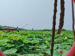 -白洋淀景区
