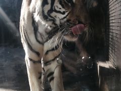 -南昌动物园