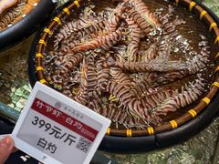 -高佳庄·海鲜酒楼(东港店)