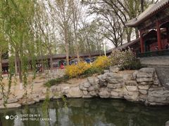 -郑州植物园