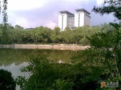 -紫竹院公园冰场