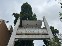 -园圃街雀鸟花园