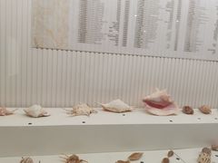 -青岛贝壳博物馆