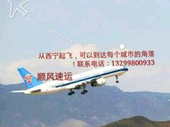 -马学武手抓美食(下南关总店)