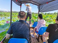 -洪湖生态旅游区