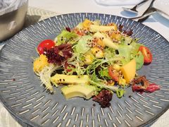 -一棵树·意大利西餐厅One Tree(新城店)