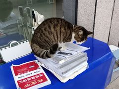 -重庆工商大学(南岸校区)