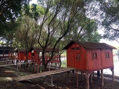 -洪湖生态旅游区