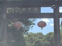 -龙井村