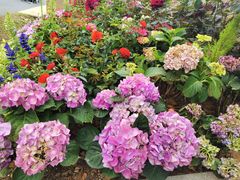 -人民公园(罗湖区)