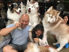 -TrueLove @ Neverland (Husky Cafe)