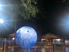 -二荆条·蜀鲜汇城市森林火锅