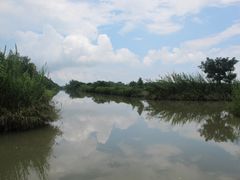 -大湾区中央湿地公园
