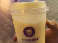 -一只酸奶牛(八一路店)