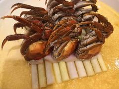-新光酒家·河豚·海鲜·蟹料理(浦东店)