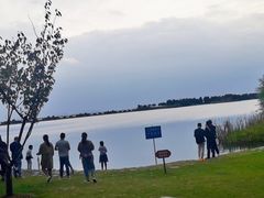 -贡湖湾湿地公园