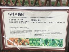 -乌村