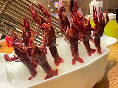 -尚海豆捞(乐虹坊店)