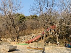 -北京西山国家森林公园