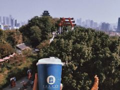 -黄鹤楼公园(黄鹤楼)