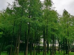 -晓港公园