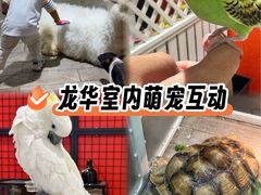 -深圳龙华星河COCO City(民治店)