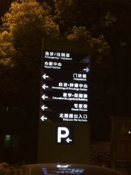-上海交通大学医学院附属上海儿童医学中心(陆家嘴总院区)