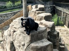 -石家庄市动物园