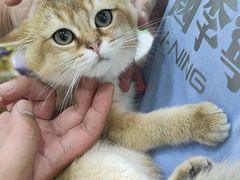 -唐小姐の猫狗洗护·购宠旗舰店(周浦万达店)