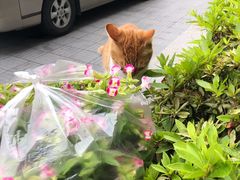 -上海外滩英迪格酒店